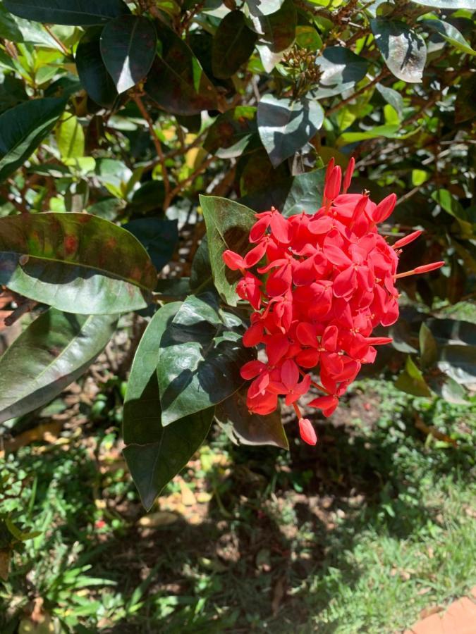 Pousada Bella Geriba Buzios المظهر الخارجي الصورة